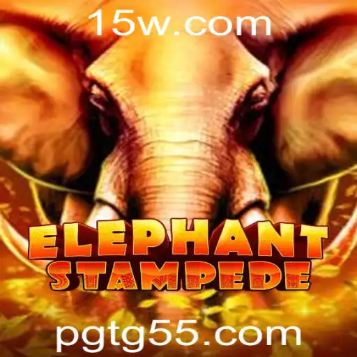 TG55 Casino Withdrawal